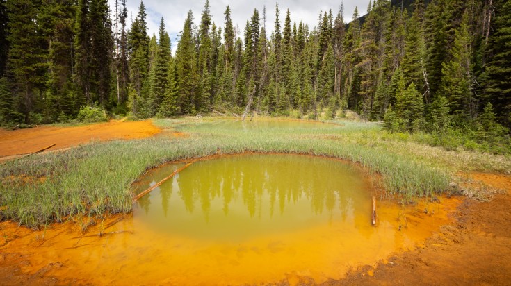 Kootenay National Park in Canadian Rockies