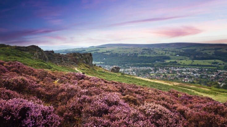 See hills with purple heather at sunset while spending 10 days in England.