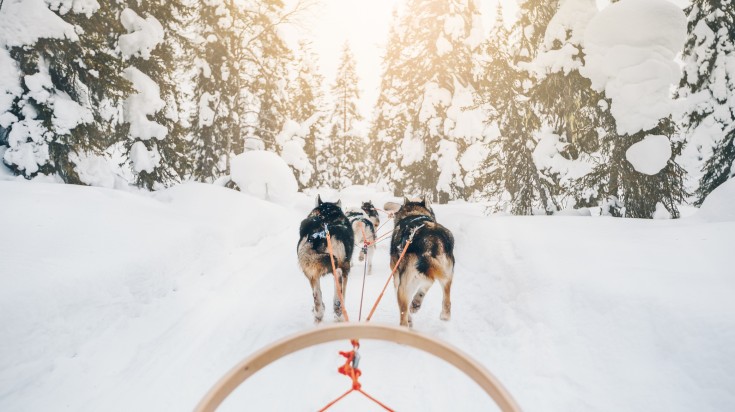 Enjoy a sled ride pulled by husky dogs while spending 5 days in Finland.