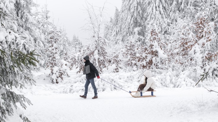 A couple sleighing in a winter forest of Belgium in January.