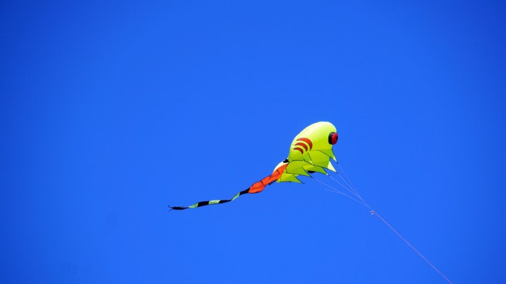 A green kite flying in the clear skies of Denmark.