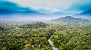 Aerial view of Amazon rainforest in Brazil during a cloudy day.