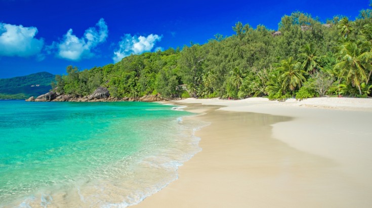 waves pulling up on the beach with dense trees in the background at Anse Soleil beach during the day.