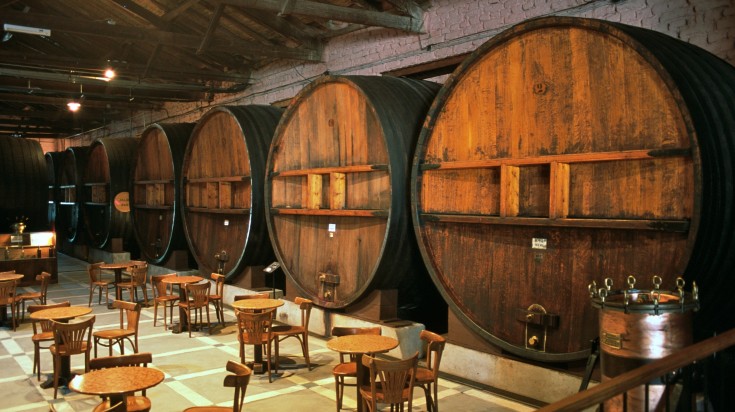 Wine tasting room in Mendoza