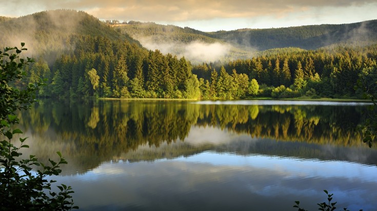 Misty landscape in Harz during Autumn during dusk. Misty landscape in Harz during Autumn during dusk.