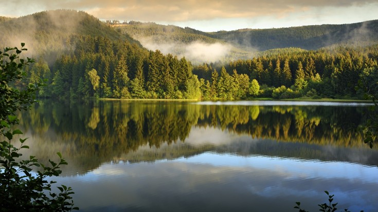 Misty landscape in Harz during Autumn during dusk.