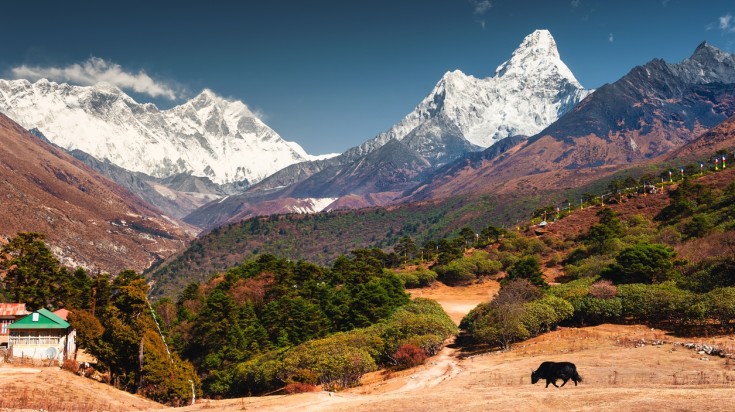 Visit Tengboche in Nepal in October.