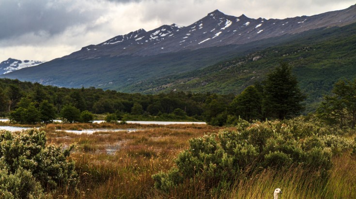 Bahia Lapatia, Tierra del Fuego National Park in Ushuaia during cloudy day.