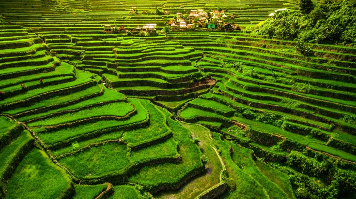 Batad Rice Terraces in North Luzon during November in the Philippines..