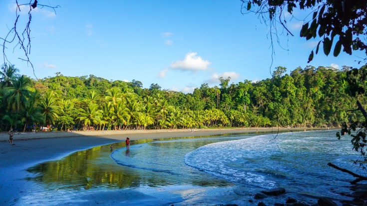 Beautiful sunny day at the beach of South Pacific with ocean with forest.