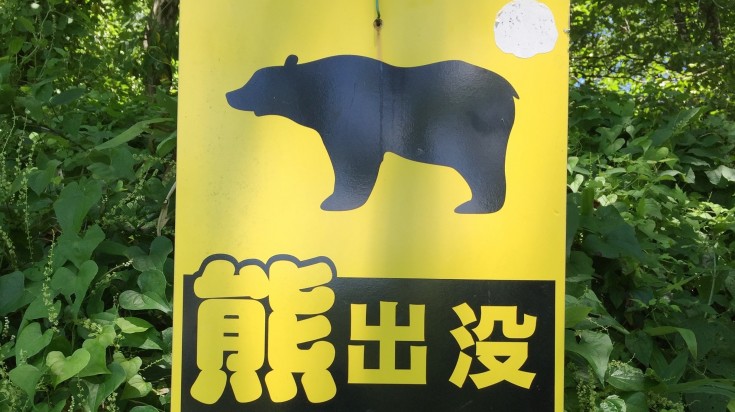 There are bears in the Koyasan area so it’s worth taking a bear bell just in case!