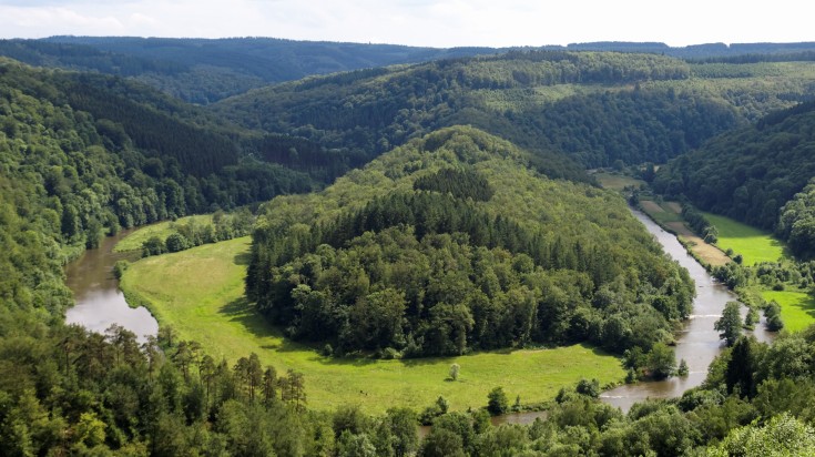 Green Belgian landscape in Ardennes on a sunny day.