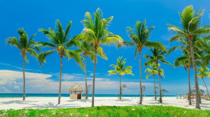 View of beautiful inviting tropical white sand beach and ocean on a sunny