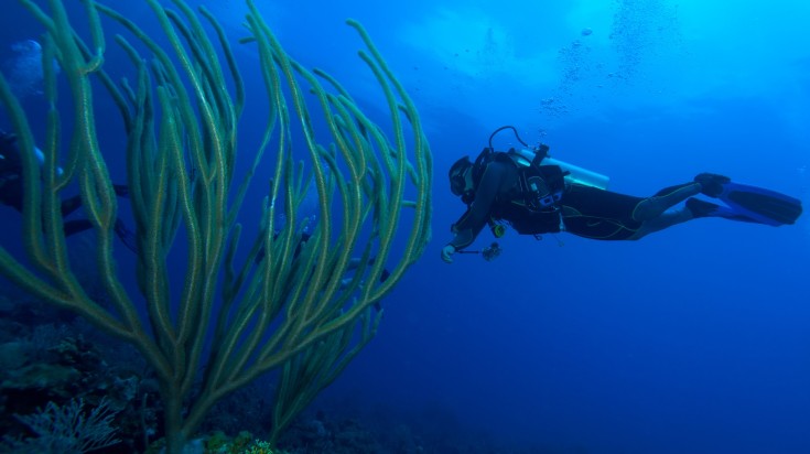 Diver diving in Cayo Largo.