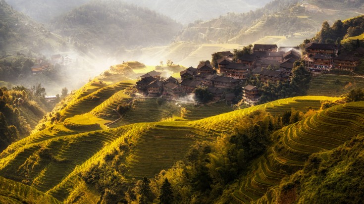 Terraced rice fields in Longji overlooking the Dazhai village in China.