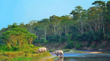 Chitwan National Park
