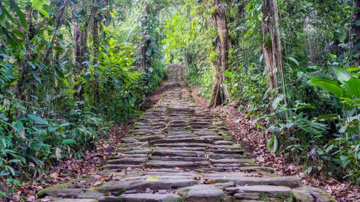 Ciudad Perdida, the lost city of Colombia.