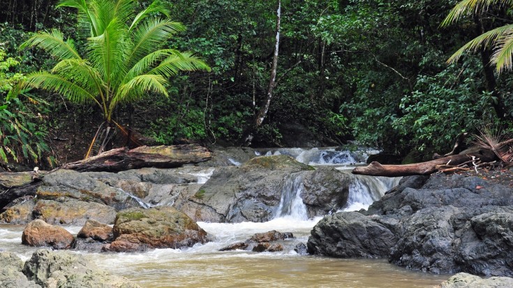 Corcovado National Park in Costa Rica