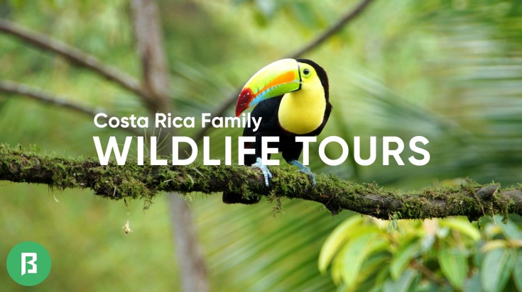 Costa Rica Family Wildlife Tours.