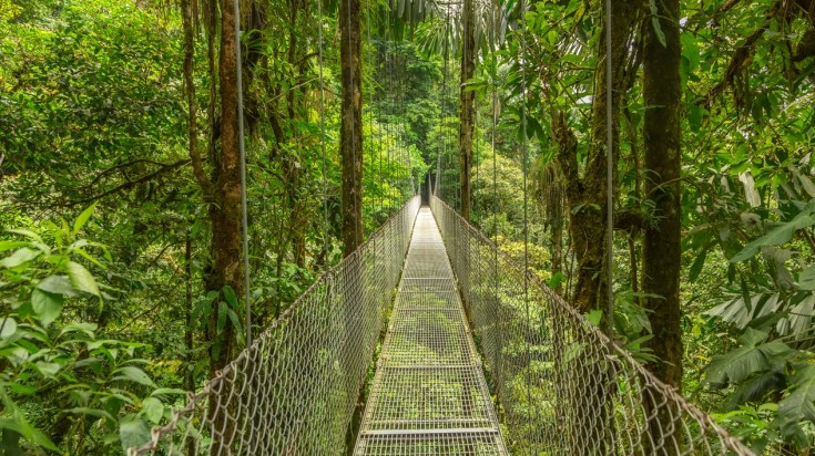 Monteverde Cloud Reserve is a great place for Costa Rica nature itinerary Visit Monteverde in a Costa Rica itinerary for nature lovers