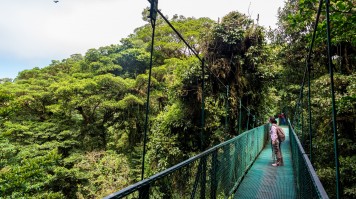 Girl walking on hanging bridge in cloud forest Monteverde, Costa Rica