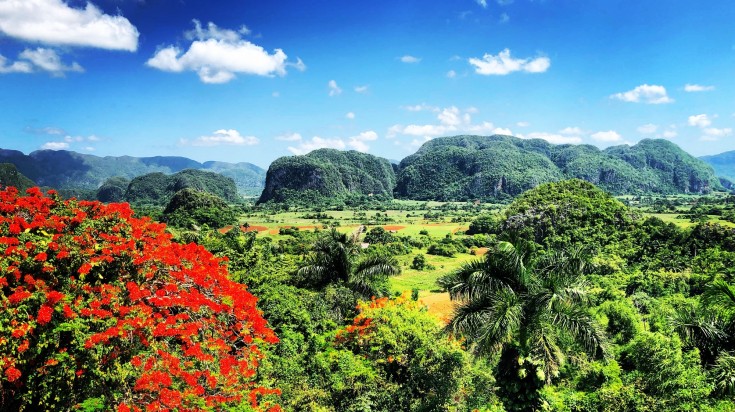 Aerial view of Vinales Valley in Cuba during July