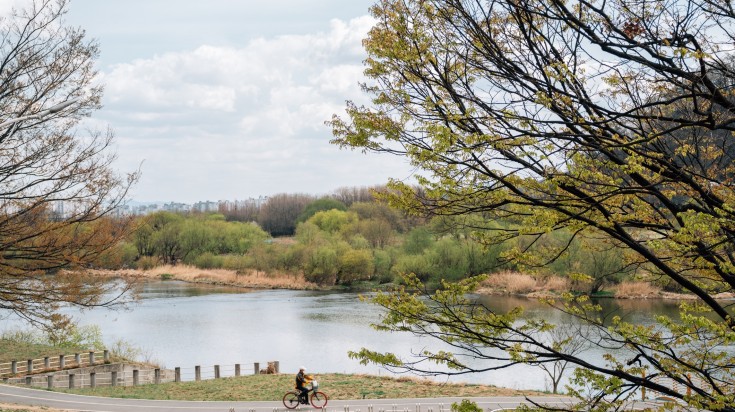 A man cycling in Dongchon riverside park on a cloudy day.