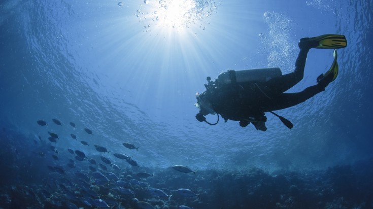 A diver swimming in the Red Sea which you can try on your trip to Egypt.