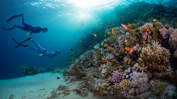 Two divers exploring the coral reef in the Red Sea while touring Egypt.