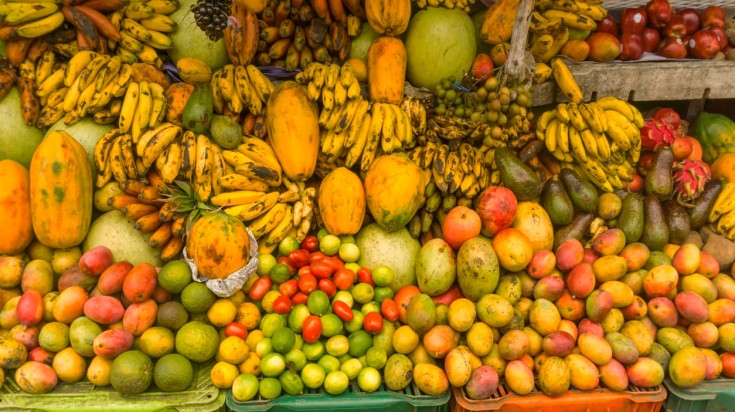 Eco tourism in Costa Rica fruits