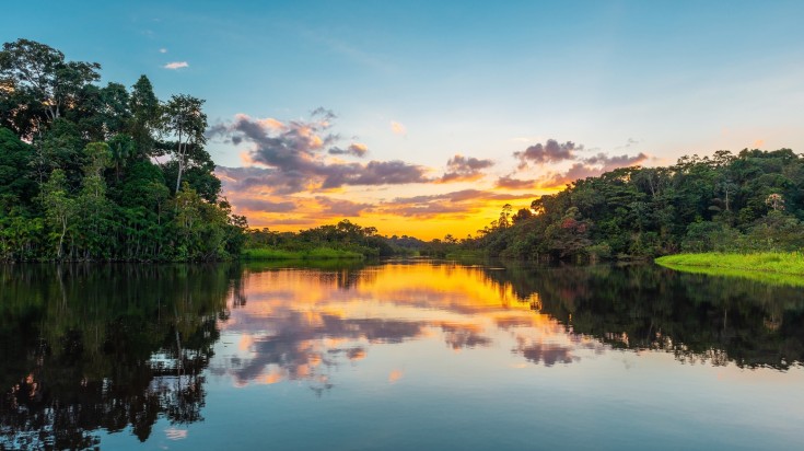 Explore the rainforest along the Amazon River in Ecuador.