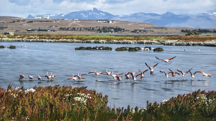 Laguna Nimez Reserve in El Calafate