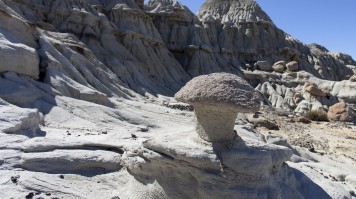 La Leona Petrified Forest in El Calafate