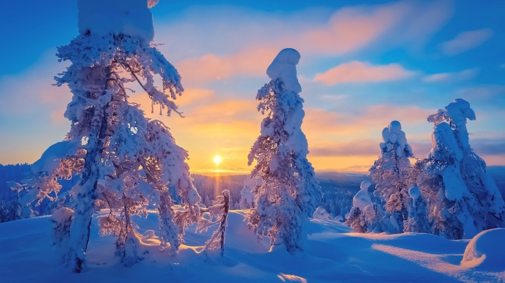 Cold winter day sunset landscape with snowy trees in Finland in February