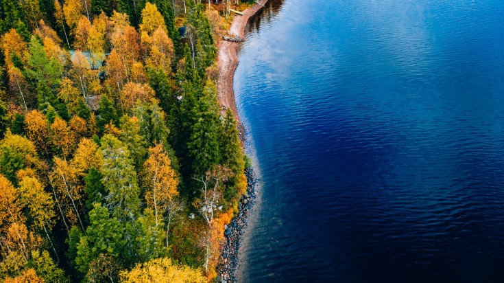 autumn foliage by the blue lake in Finland in September