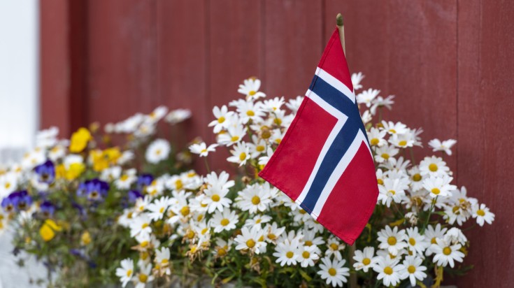 Flag and blooming flowers in Norway in May.