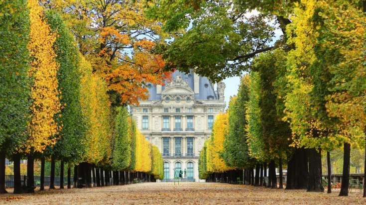 Avenue of trees in autumn leading to the Musee du Louvre in France in October.