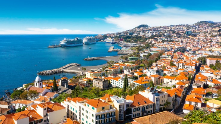 A coastal town with pretty houses next to a blue sea with cruise ships