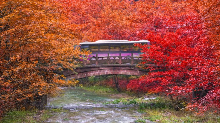 Zhangjiajie National Forest Park during autumn paints the forest red