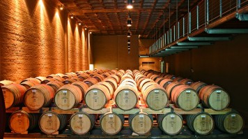 wine cellar at Groot Constantia