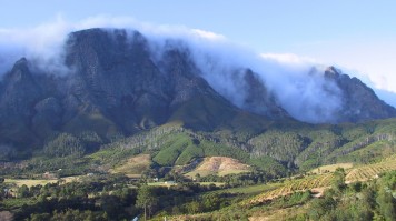 Haut Espoir Wine Estate in Cape Town