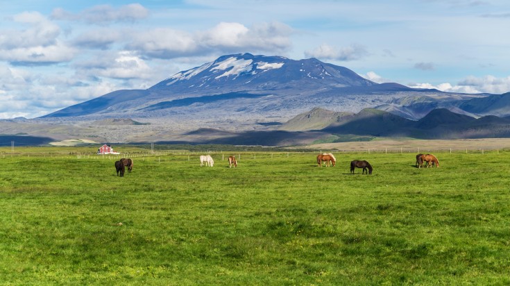 Horse riding in Hekla