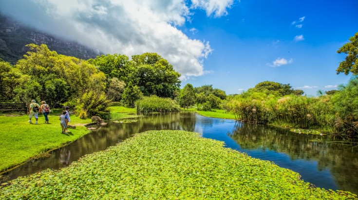 Kirstenbosch Garden  in Cape Town