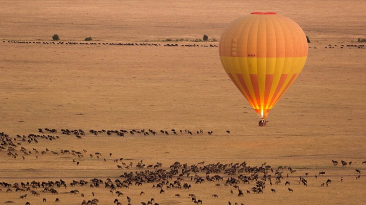 Kenya is a country best known for Serengeti National Park where wildbeast roam in numbers.