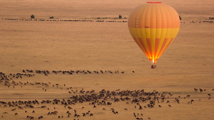 The view of the wildebeest migration during winter in Tanzania.