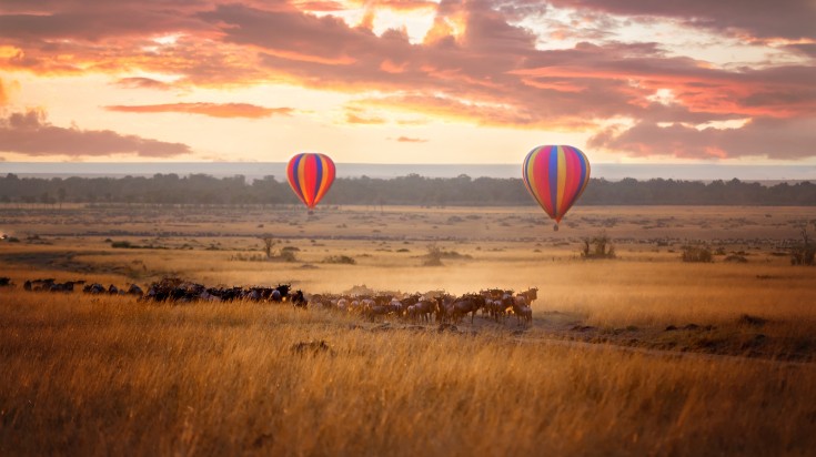 Hot air balloons over a herd of wildebeests as seen in Maasai Mara.