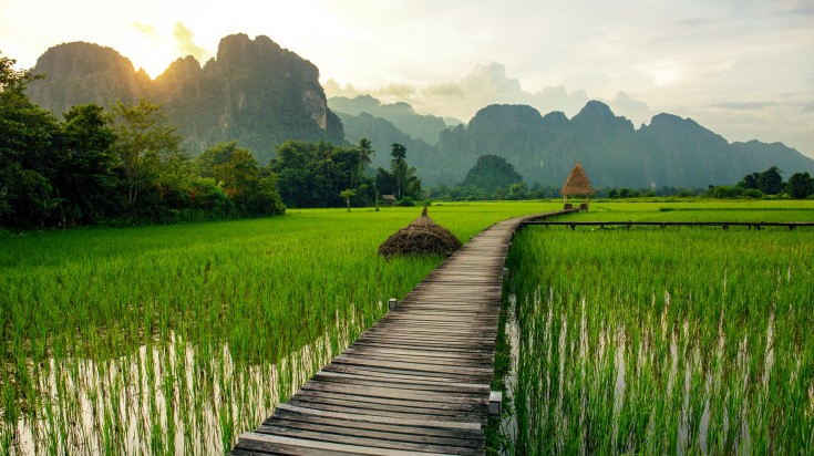 Sunset over the green rice in Vang Vieng The peaceful afternoon in the green rice fields of Vang Vieng