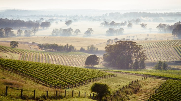 Visit Hunter Valley during spring to witness the fresh greenery.