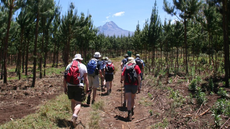 Tourists in Rongai Forest en route to the majestic Kilimanjaro.