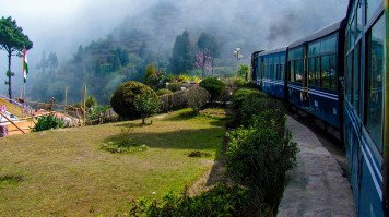 A train passing by a small garden